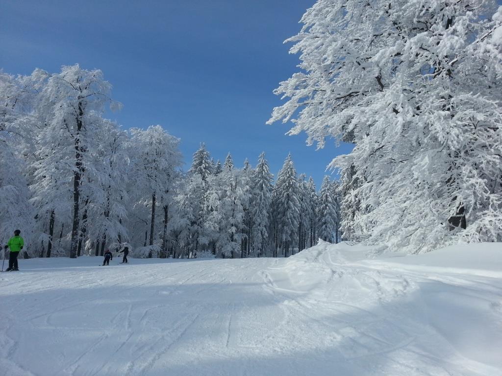 Boehmerwald Pur2 Клафер ам Хохфихт Екстериор снимка